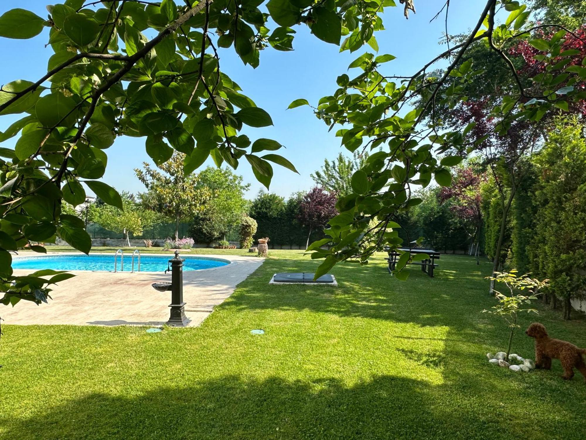 Guzel Evler Family Resort Sapanca Exterior foto